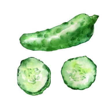 Suluboya el yapımı yeşil salatalık ve beyaz arka planda iki dilim.