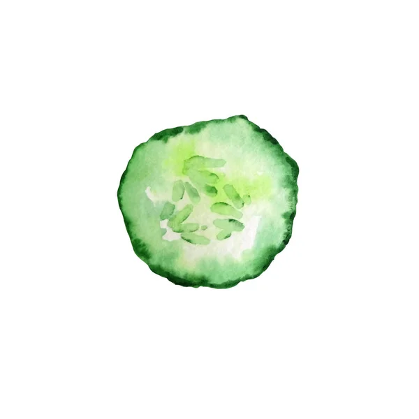 水彩画手工绘制的绿色黄瓜片 在白色背景上分开 — 图库照片
