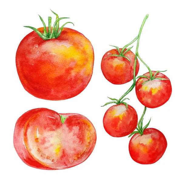 Aguarela Tomate Grande Vermelho Meio Tomate Ramo Com Tomates Cereja — Fotografia de Stock