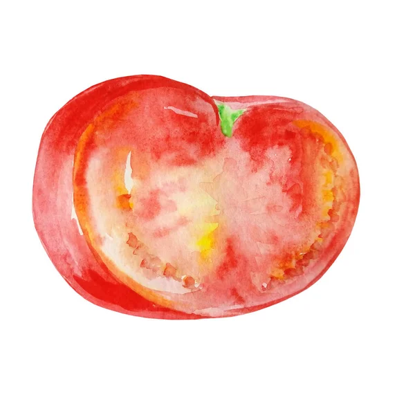 Acuarela Tomate Vegetal Mitad — Foto de Stock