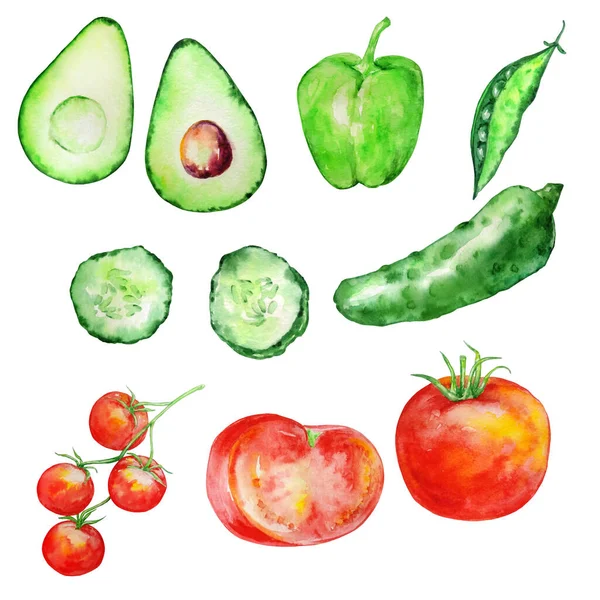 Acuarela Conjunto Verduras Verde Rojo Jugoso Brillante Sobre Fondo Blanco — Foto de Stock