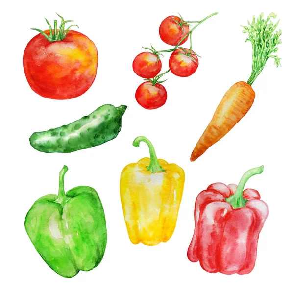 Akvarel Set Zelenina Zelená Červená Šťavnatý Jasný Bílém Pozadí — Stock fotografie