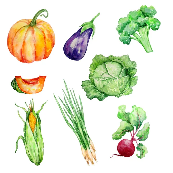 Watercolor Set Vegetables Green Red Juicy Bright White Backgroun — Stock Photo, Image