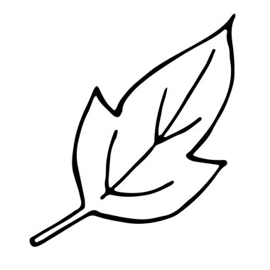 Bir ağacın karalama tarzı yaprağı