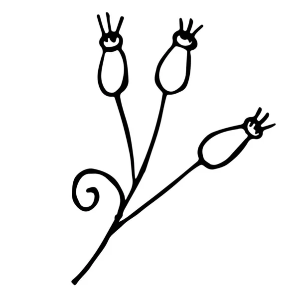 小浆果和叶子的枝条 — 图库矢量图片