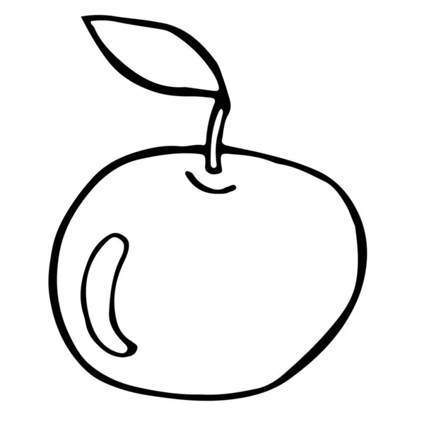 Яблочные Фрукты Листьями — стоковый вектор