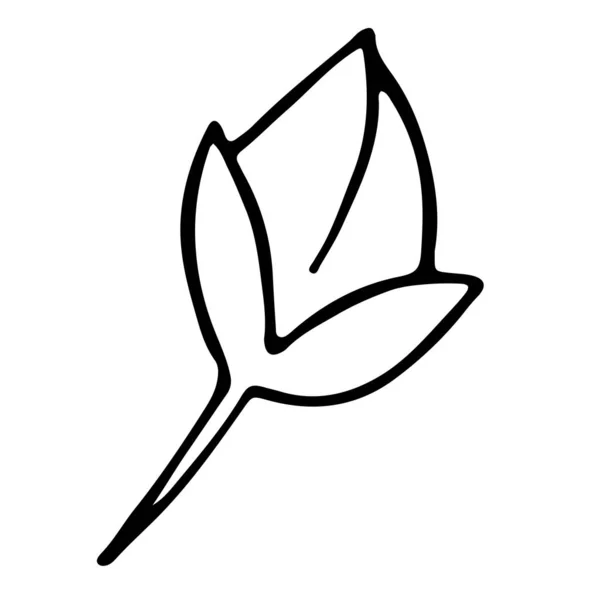 Μπουμπούκι Λουλουδιών Κλαδί — Διανυσματικό Αρχείο