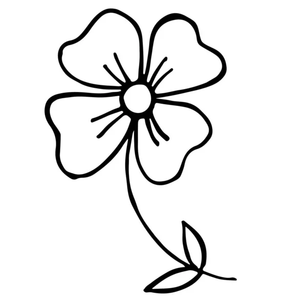 Цветок Ветке Листом — стоковый вектор