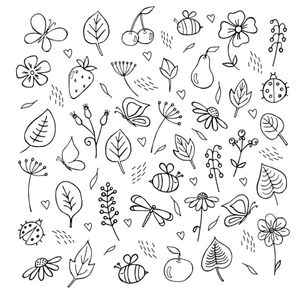 Conjunto Ilustração Preto Branco Mão Desenhado Doodle Estilo Flores Insetos — Vetor de Stock