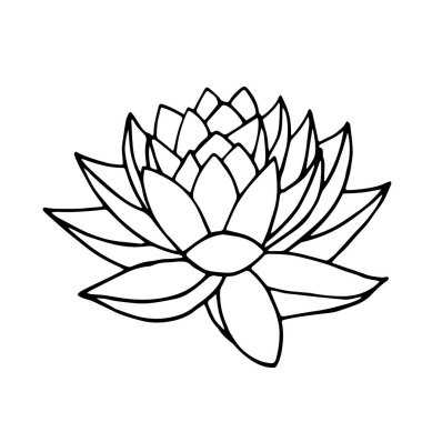 karalama stili nilüfer çiçeği kaplıcası