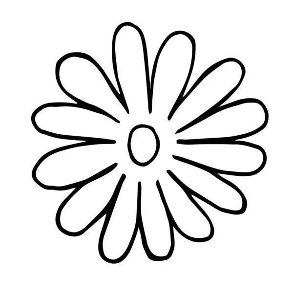 Flor Com Muitas Pétalas Doodle — Vetor de Stock