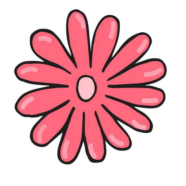 Ilustrace Ručně Kreslené Růžové Květy Mnoha Okvětními Lístky Barvě Doodle — Stockový vektor