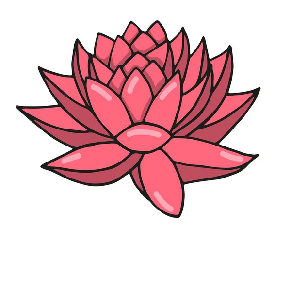 Ilustrace Ručně Kreslené Barvy Čmáranice Styl Lotus Květinové Lázně — Stockový vektor