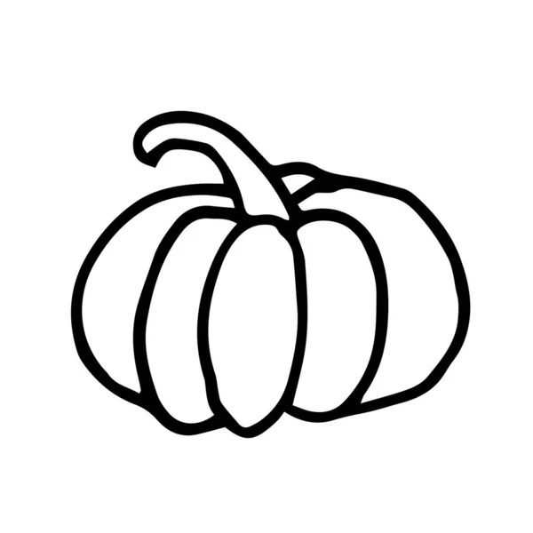 Illustration Großer Kürbis Herbsternte — Stockvektor
