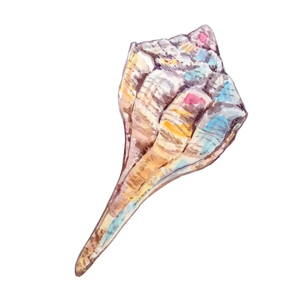 Acquerello Mare Lungo Conchiglia Subacquea Disegnato Mano Rosa Giallo Con — Foto Stock