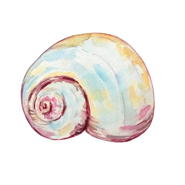 Aquarela Mar Redondo Subaquático Shell Mão Desenhada Rosa Amarelo Com — Fotografia de Stock