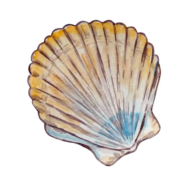 Aquarela Mar Subaquático Shell Mão Desenhada Amarelo Com Azul Isolado — Fotografia de Stock