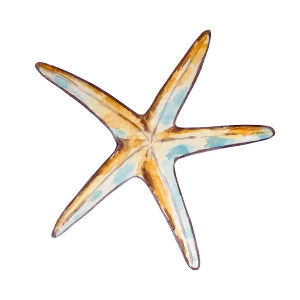 Aquarela Longo Azul Estrela Mar — Fotografia de Stock