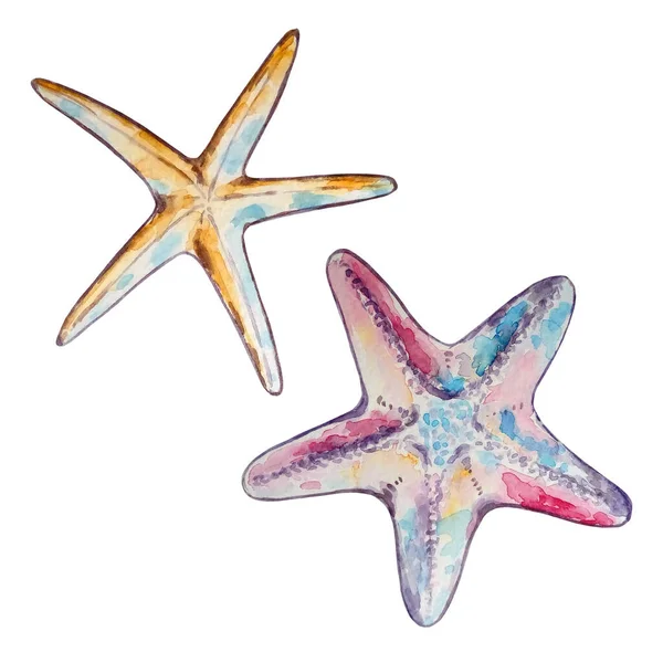 Watercolor Two Starfish Pink Purple Long Yellow Blue — Stock Photo, Image