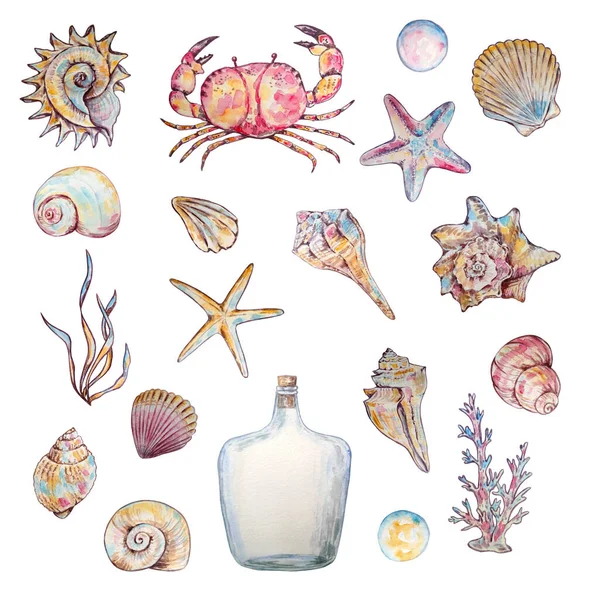 水彩画海洋水下生物海贝壳海星蟹藻类和珊瑚 — 图库照片