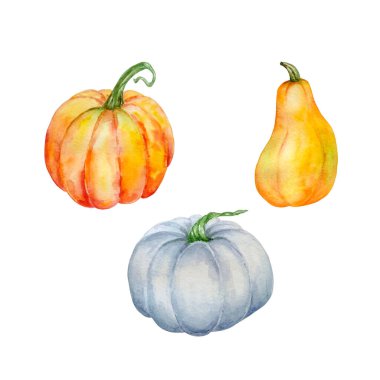 Üç balkabağından oluşan suluboya set