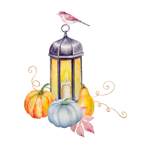 Akvarel Ilustrace Vinobraní Železné Lucerny Svíčkou Třemi Dýněmi Ptákem Vrcholu — Stock fotografie