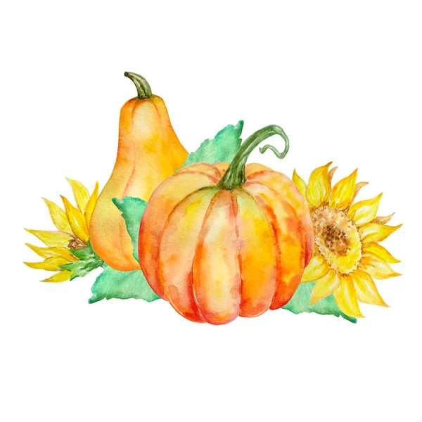Akwarela Jesień Kompozycja Dwóch Pomarańczowych Dyń Żółtych Słoneczników — Zdjęcie stockowe