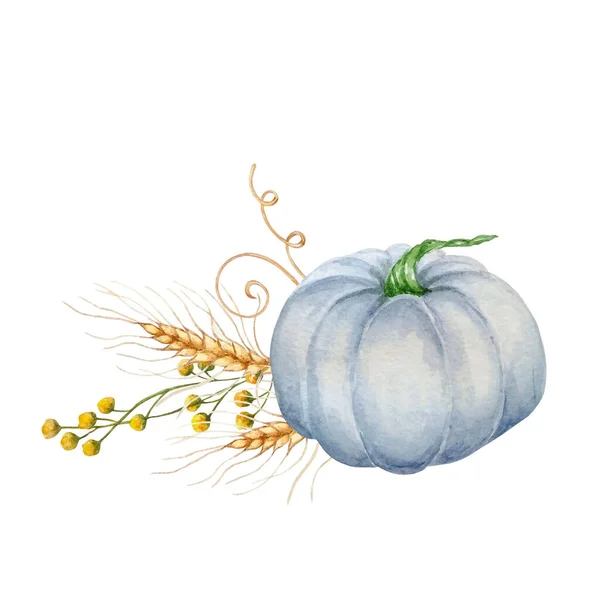 Akvarel Podzimní Složení Šedomodré Dýně Podzimních Větví Uší — Stock fotografie