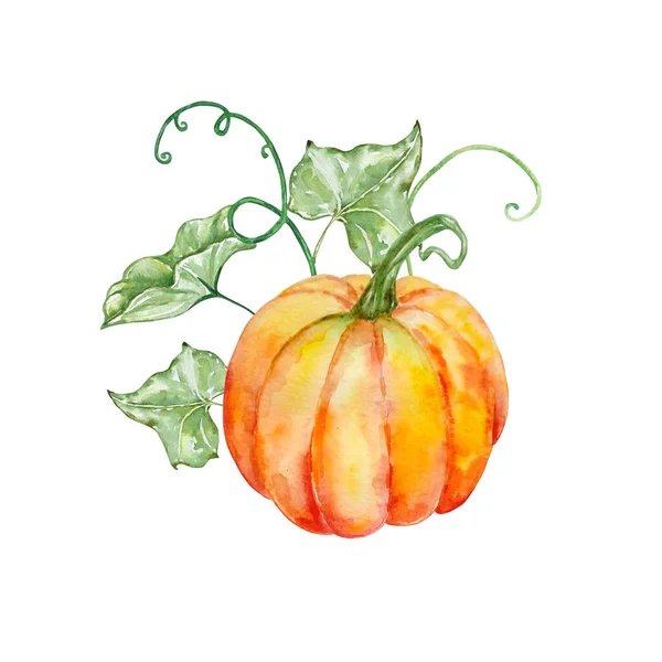 Akvarel Podzimní Složení Jasně Oranžovou Dýní Zelenými Listy — Stock fotografie