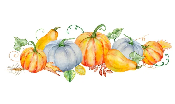Akvarel Podzimní Složení Jasně Oranžovými Modrými Dýněmi Zelenými Podzimními Listy — Stock fotografie
