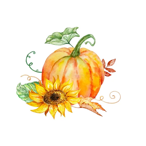 Akvarel Podzimní Složení Jasně Oranžovou Dýní Žlutými Slunečnicemi Zelenými Podzimními — Stock fotografie