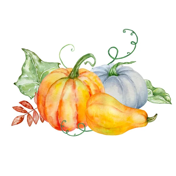 Akvarel Podzimní Složení Tří Různých Dýní Zelenými Podzimními Listy — Stock fotografie
