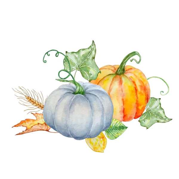 Akvarel Podzimní Složení Dvou Dýní — Stockový vektor