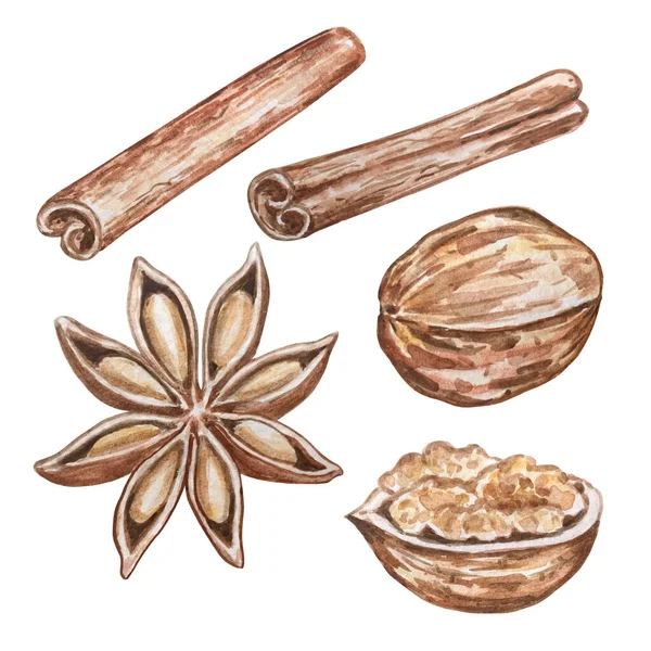 Watercolor Illustration Hand Drawn Set Star Anise Spices Two Cinnamon — Stock Photo, Image