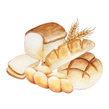 Dört fırınlanmış ekmeğin suluboya bileşimi