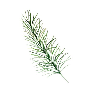 Beyaz arka planda suluboya boyayla boyanmış dallardan Noel süsleri. Ağaçların dalları.