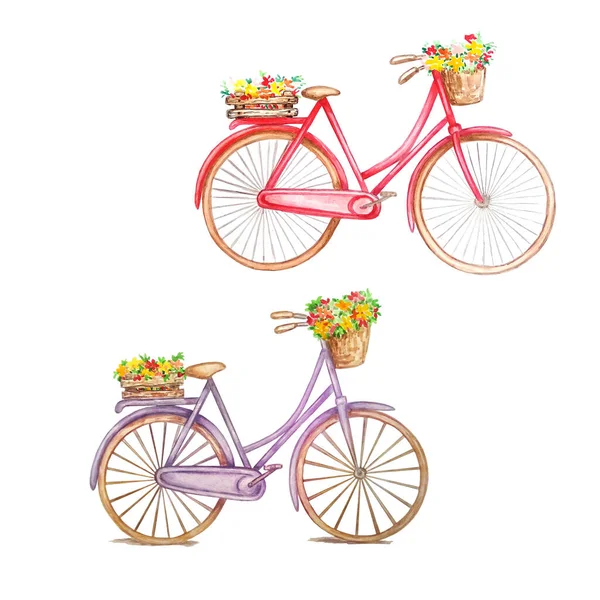 Zwei Retro Fahrräder Rot Und Lila Eine Holzkiste Mit Blumen — Stockfoto