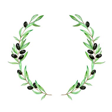 Zeytin ağacının yapraklı ve zeytinli bir dalından suluboya çelenk. Çeşitli dallarda, yeşil ve siyah zeytinler. Tasarım, baskı, kumaş veya arkaplan için beyaz arkaplanda el boyaması çizimi izole edilmiş.