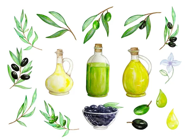 set of watercolor illustration of olive oil bottle and branches with olives. Drawing of three bottles, a cup with olives and branches with olives and leaves isolated on a white background.