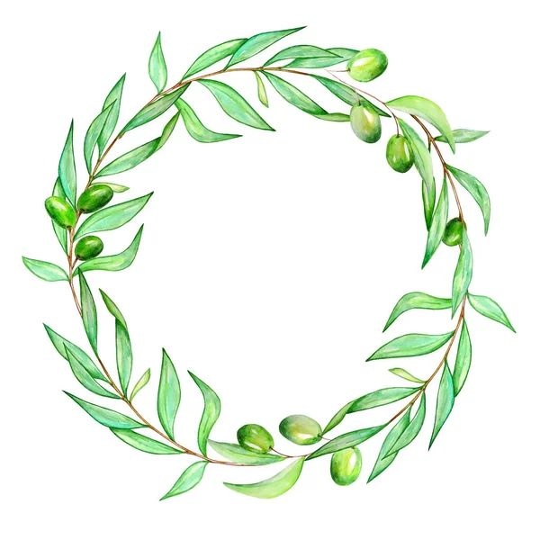 Zeytin ağacının yapraklı ve zeytinli bir dalından suluboya çelenk. Çeşitli dallarda, yeşil ve siyah zeytinler. Tasarım, baskı, kumaş veya arkaplan için beyaz arkaplanda el boyaması çizimi izole edilmiş.
