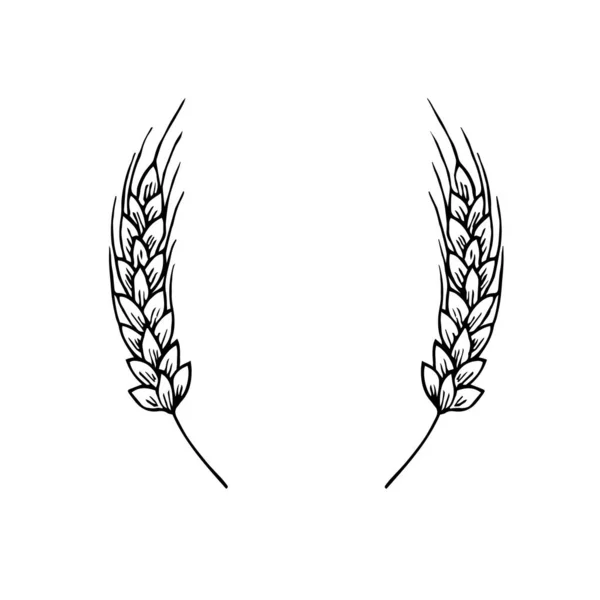 Два Пшеничных Уха Стиле Дудла Октоберфест Винтажная Векторная Иллюстрация Веб — стоковый вектор