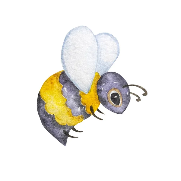 Watercolor bee, hand painted illustration isolated on white background. Summer symbol for holiday, postcard, poster, banner and website.