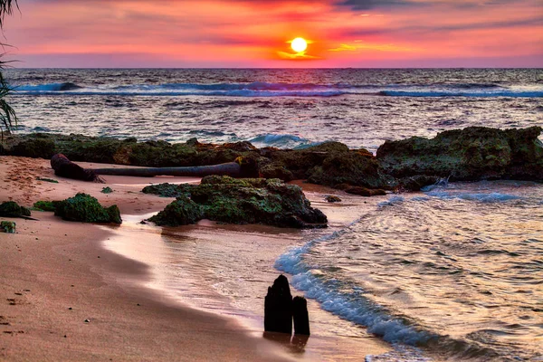 A gorgeous sundown with warm and luminous colors in gold, orange, red, over the wild Indian Ocean in Asia on the fascinating tropical island Sri Lanka