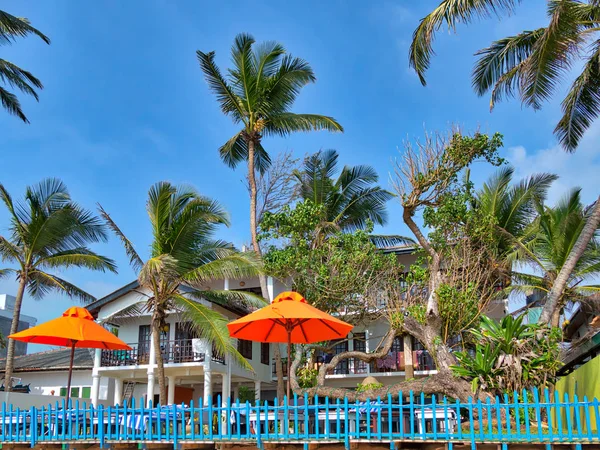 plaj sahne ile lots-in Hindistan cevizi palmiye ağaçları, ince kumlu plaj ve palmiye yaprağı kulübe üzerinde büyüleyici tropikal Hikkaduwa sahilinde ada Sri Lanka Hint Okyanusu