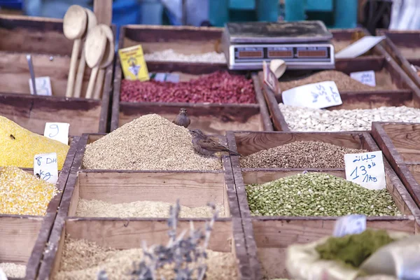renkli baharat, ot ve tohumlar üzerinde bir Doğulu n Agadir Fas Afrika liman şehir Medine pazarı