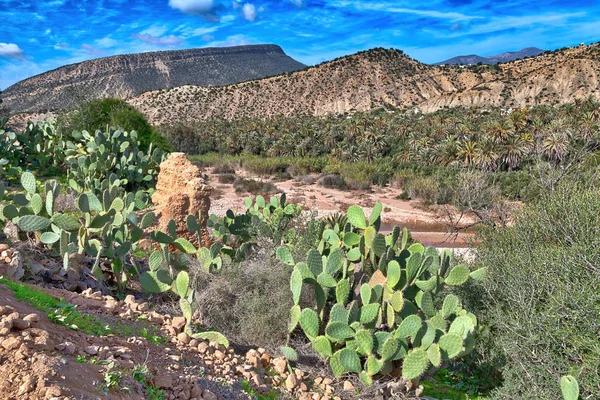 Fas Agadir, Atlantik Okyanusu üzerinde bir Afrika ülkesi yakınındaki dağlarda güzel bir manzara