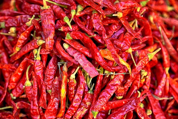 Parlak kırmızı taze biber Fes, Fas, Afrika pazarında satışa sunulur