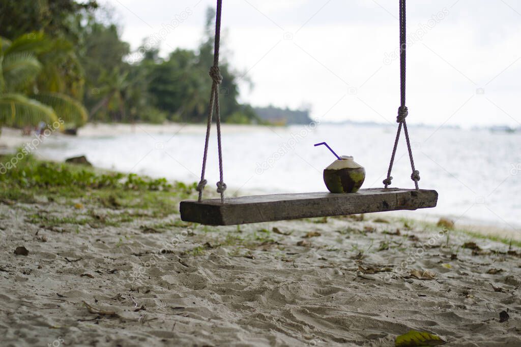 fresh natural organic coconut on a swing, Koh Samui island