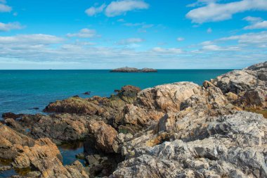 Marblehead Neck 'in Rocky sahili Marblehead deniz fenerinin yanında Chandler Hovey Parkı' nda Marblehead, Massachusetts MA, ABD.