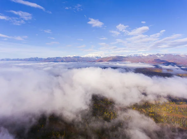 Denali Alaska Range Mountains Air View Cloud Fall Denali State — стокове фото